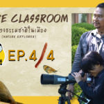 Nature Classroom EP.4/4 : สำรวจธรรมชาติในเมือง