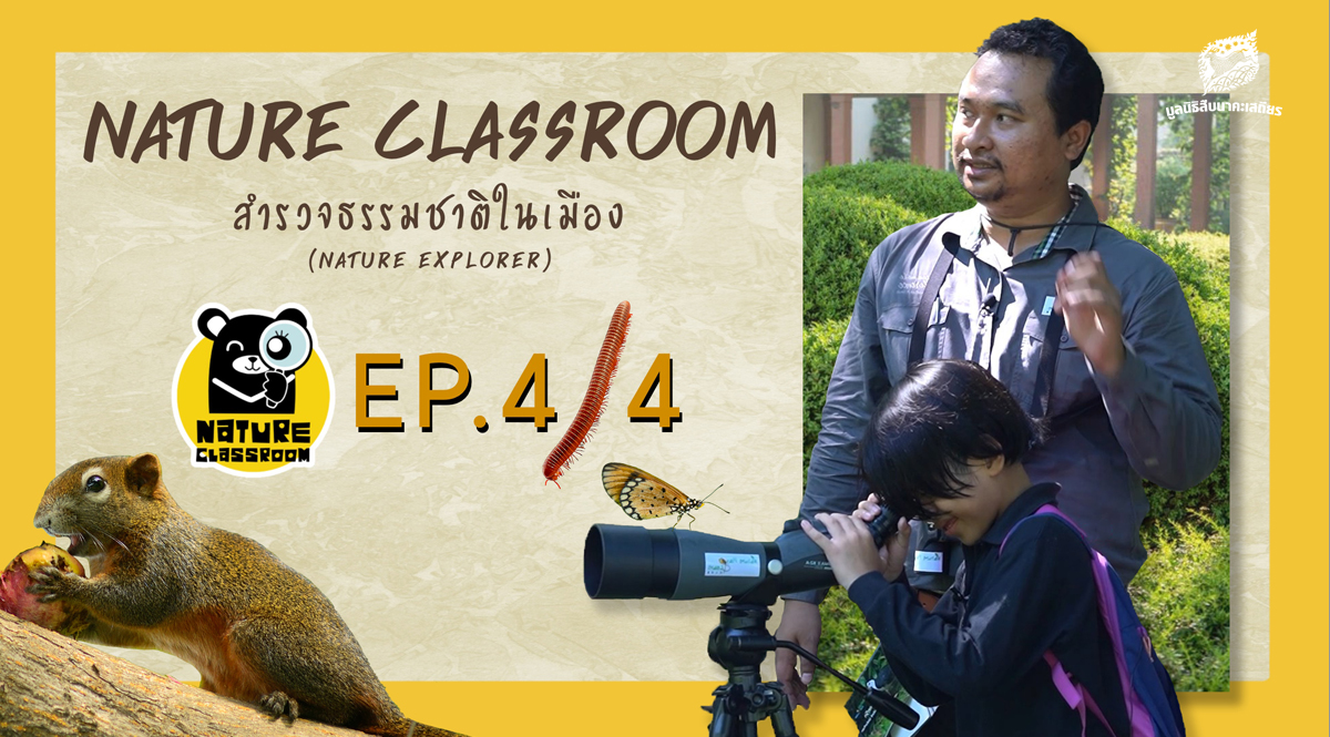 Nature Classroom EP.4/4 : สำรวจธรรมชาติในเมือง