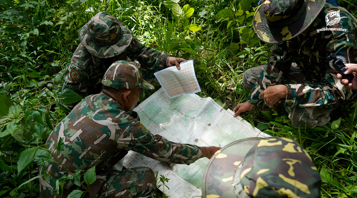 สรุปการช่วยเหลือฯ กองทุนเพื่อผู้พิทักษ์ป่า มูลนิธิสืบนาคะเสถียร ปี 2563