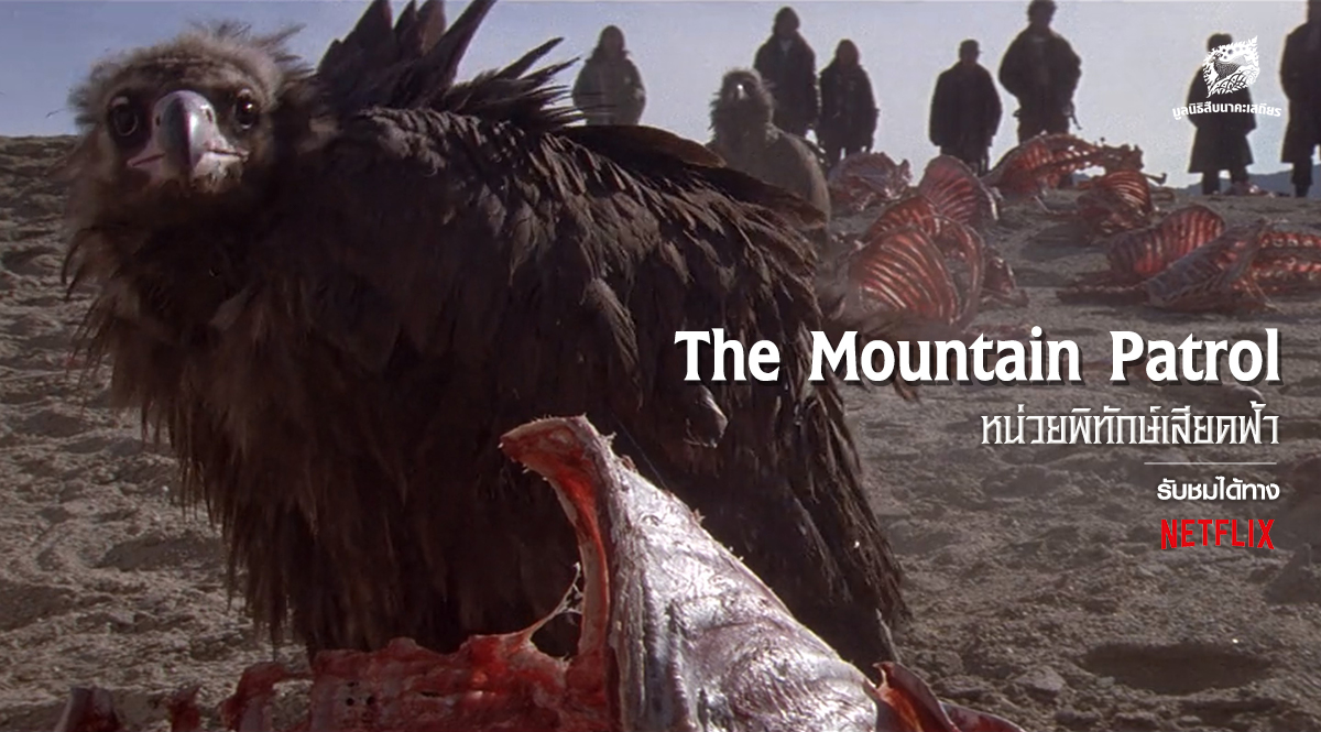 The Mountain Patrol: หน่วยพิทักษ์เสียดฟ้า