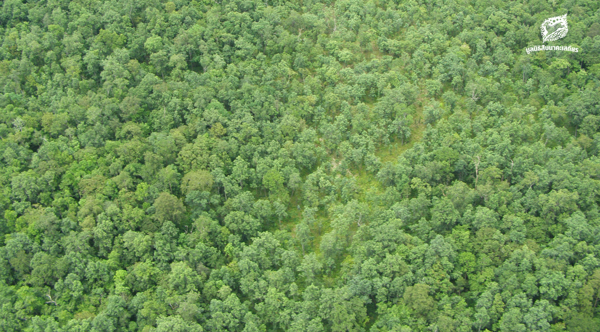 เร่งดำเนินการผนวกพื้นที่อุทยานแห่งชาติแม่วงก์ – คลองลาน เข้าเป็นส่วนหนึ่งของป่ามรดกโลก