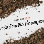 LIGHT IT UP EP 10 : บาริสต้าจะพือ ที่ดอยมูเซอ