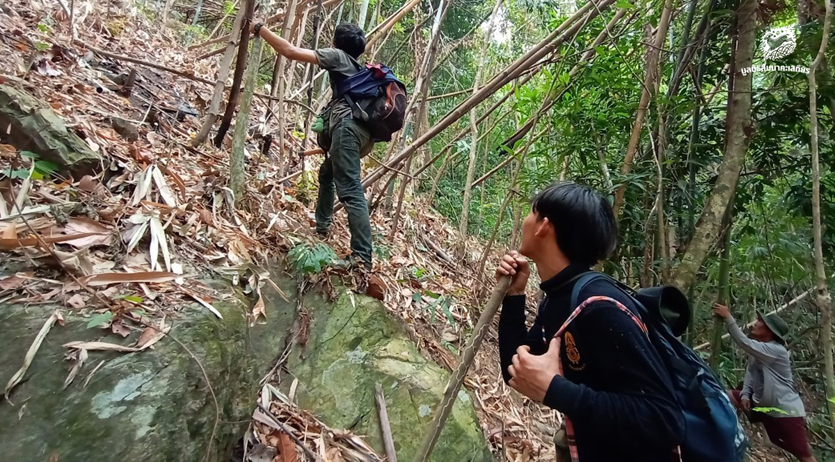 เดินสำรวจแนวป้องกันไฟป่ากับราษฎรอาสารักษาป่า บ้านพุระกำ