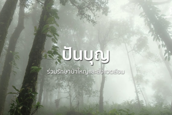 ร่วมรักษาป่าใหญ่และสิ่งแวดล้อมผ่าน “ปันบุญ”