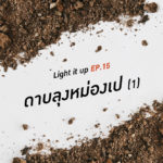 LIGHT IT UP EP 15 : ดาบลุงหม่องเป (1)