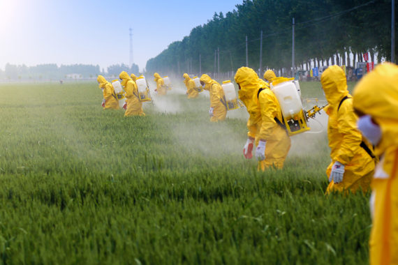 รู้หรือไม่ 64% ของพื้นที่เกษตรกรรมทั่วโลกปนเปื้อนไปด้วย “ยาฆ่าแมลง”