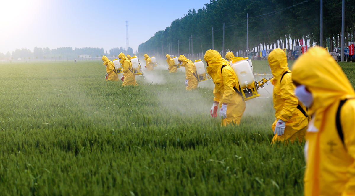 รู้หรือไม่ 64% ของพื้นที่เกษตรกรรมทั่วโลกปนเปื้อนไปด้วย “ยาฆ่าแมลง”