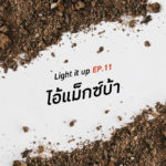 LIGHT IT UP EP 11 : ไอ้แม็กซ์บ้า