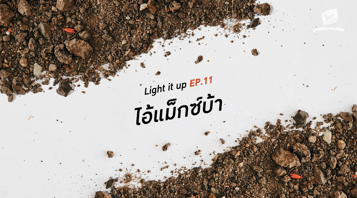 LIGHT IT UP EP 11 : ไอ้แม็กซ์บ้า