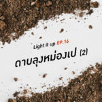 LIGHT IT UP EP 16 : ดาบลุงหม่องเป (2)
