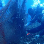 กู้อวนทับปะการังเกาะโลซินสำเร็จ พบนิเวศเสียหายรวมกว่า 550 ตร.ม.