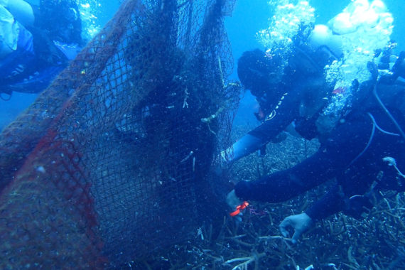 กู้อวนทับปะการังเกาะโลซินสำเร็จ พบนิเวศเสียหายรวมกว่า 550 ตร.ม.
