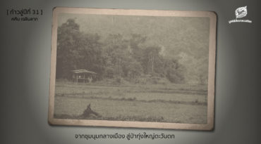 [ก้าวสู่ปีที่ 31] จากชุมนุมกลางเมือง สู่ป่าทุ่งใหญ่ตะวันตก