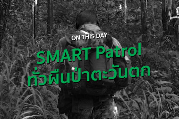 ON THIS DAY บันทึกย้อนหลัง SMART Patrol ทั่วผืนป่าตะวันตก