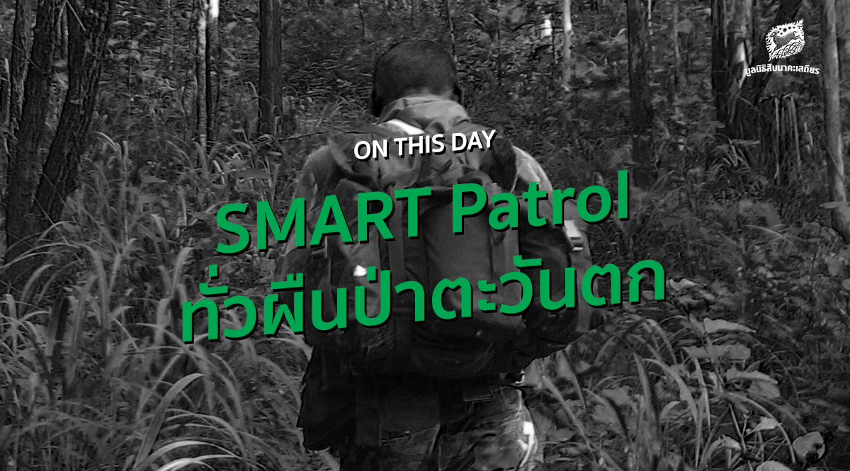 ON THIS DAY บันทึกย้อนหลัง SMART Patrol ทั่วผืนป่าตะวันตก