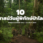 10 สาส์น “วันผู้พิทักษ์ป่าโลก”