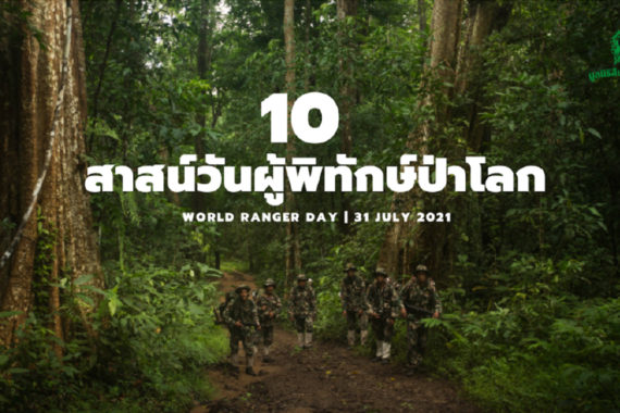 10 สาส์น “วันผู้พิทักษ์ป่าโลก”