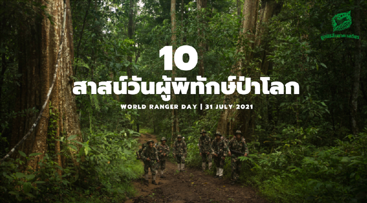 10 สาส์น “วันผู้พิทักษ์ป่าโลก”