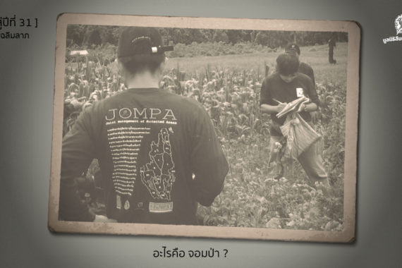 [ก้าวสู่ปีที่ 31] อะไรคือ จอมป่า ?