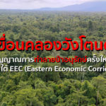 อ่างเก็บน้ำคลองวังโตนด: สัญญาณการทำลายป่าอนุรักษ์ครั้งใหญ่ภายใต้ EEC (Eastern Economic Corridor)