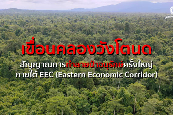 อ่างเก็บน้ำคลองวังโตนด: สัญญาณการทำลายป่าอนุรักษ์ครั้งใหญ่ภายใต้ EEC (Eastern Economic Corridor)