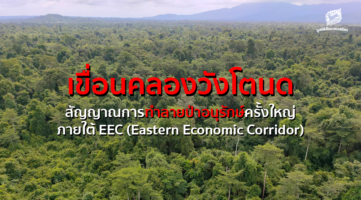 อ่างเก็บน้ำคลองวังโตนด: สัญญาณการทำลายป่าอนุรักษ์ครั้งใหญ่ภายใต้ EEC (Eastern Economic Corridor)