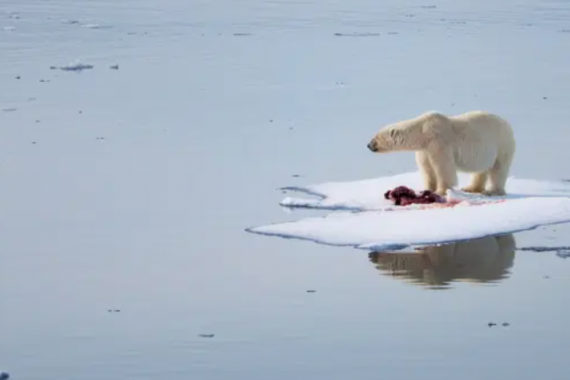 รายงานวิกฤติภูมิอากาศโดย IPCC ระบุ โลกร้อนที่สุดในรอบ 125,000 ปี