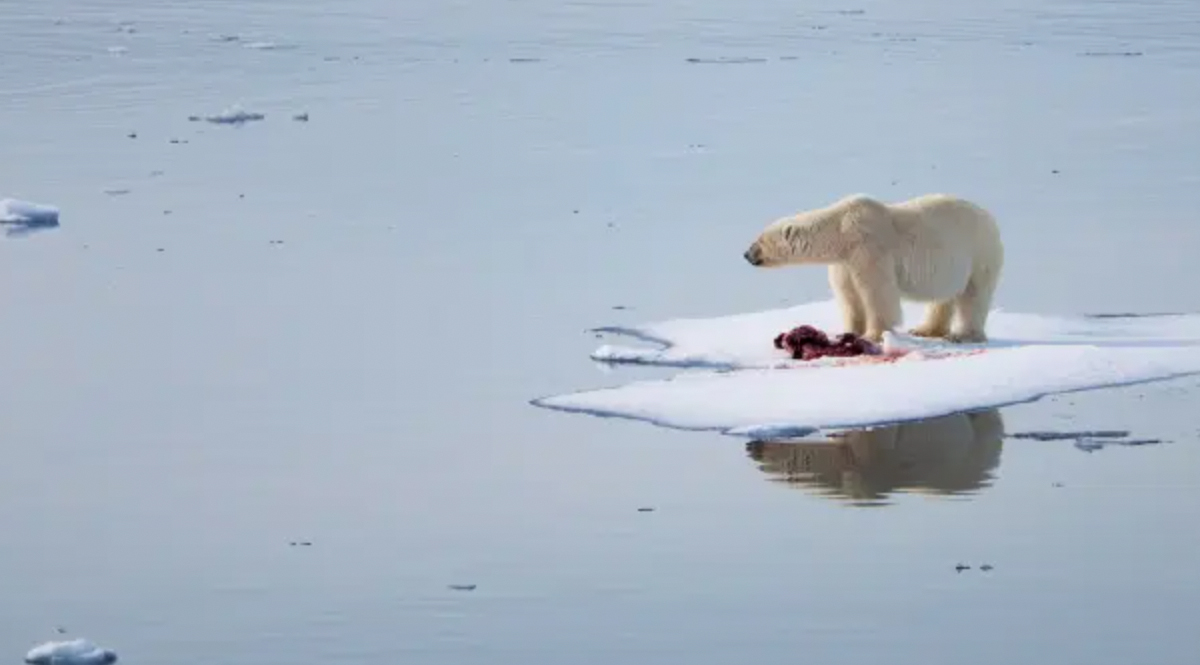 รายงานวิกฤติภูมิอากาศโดย IPCC ระบุ โลกร้อนที่สุดในรอบ 125,000 ปี