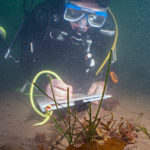 คนสวนใต้น้ำ : ฟื้นฟู “หญ้าทะเล” เพื่ออนุรักษ์มหาสมุทร