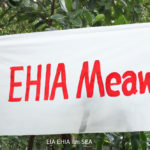 [ก้าวสู่ปีที่ 31] EIA EHIA และ SEA