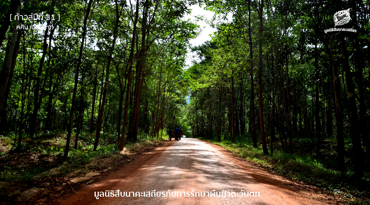 มูลนิธิสืบนาคะเสถียร กับการรักษาผืนป่าตะวันตก