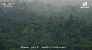 หลังความตายของ สืบ นาคะเสถียร ป่าไม้ประเทศไทยจะไปทางไหน ?