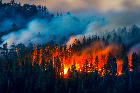 ผลกระทบที่เกิดขึ้นจากการเปลี่ยนแปลงสภาพภูมิอากาศ (Climate Crisis)