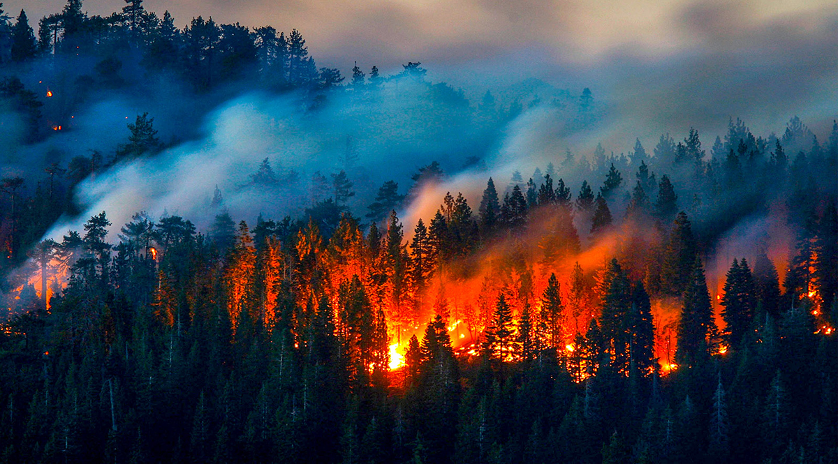 ผลกระทบที่เกิดขึ้นจากการเปลี่ยนแปลงสภาพภูมิอากาศ (Climate Crisis)