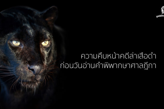 ทบทวนความคืบหน้าคดีล่าเสือดำ 2564 ก่อนวันอ่านคำพิพากษาศาลฎีกา