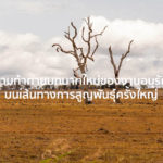 ความท้าทายบทบาทใหม่ของงานอนุรักษ์บนเส้นทางการสูญพันธุ์ครั้งใหญ่ [PODCAST]