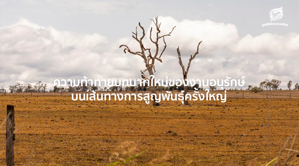 ความท้าทายบทบาทใหม่ของงานอนุรักษ์บนเส้นทางการสูญพันธุ์ครั้งใหญ่ [PODCAST]