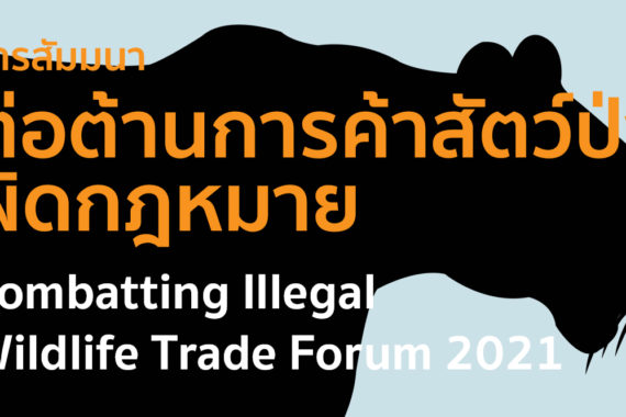 การสัมมนาการต่อต้านการค้าสัตว์ป่าผิดกฎหมาย ประจำปี 2564 (Combatting Illegal Wildlife Trade Forum 2021)