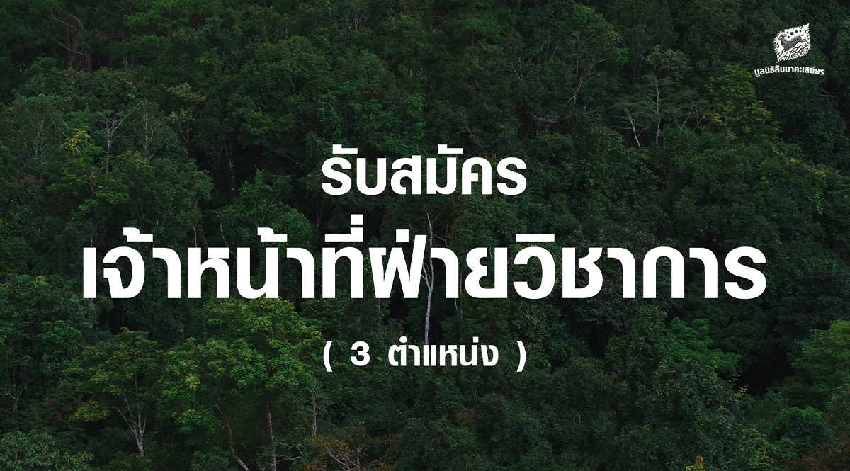 ปิดรับสมัครเจ้าหน้าที่ฝ่ายวิชาการ 3 ตำแหน่ง