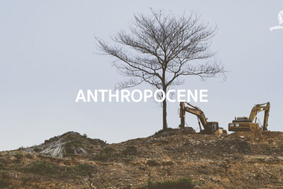 แอนโทรโปซีน (Anthropocene) คืออะไร และ ‘หมุดทอง’ ของยุคสมัยเริ่มต้นเมื่อไหร่