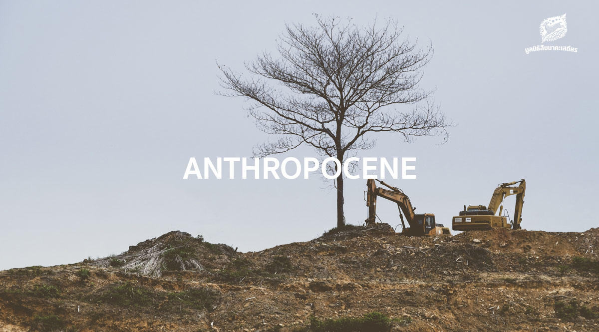 แอนโทรโปซีน (Anthropocene) คืออะไร และ ‘หมุดทอง’ ของยุคสมัยเริ่มต้นเมื่อไหร่