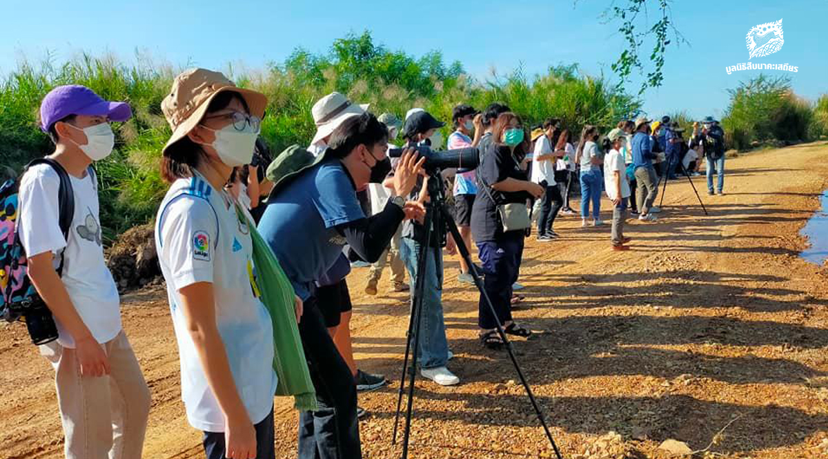 ค่ายอนุรักษ์และวิจัยประชากรเสือปลา