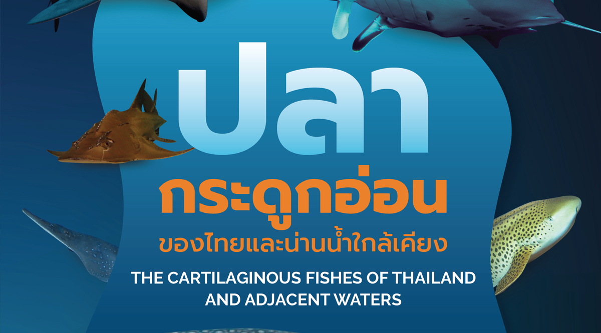 ปลากระดูกอ่อน ของไทยและน่านน้ำใกล้เคียง