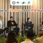 ทำอย่างไร ‘ช้างไทย’ จะไม่โดนทำร้ายอีก?