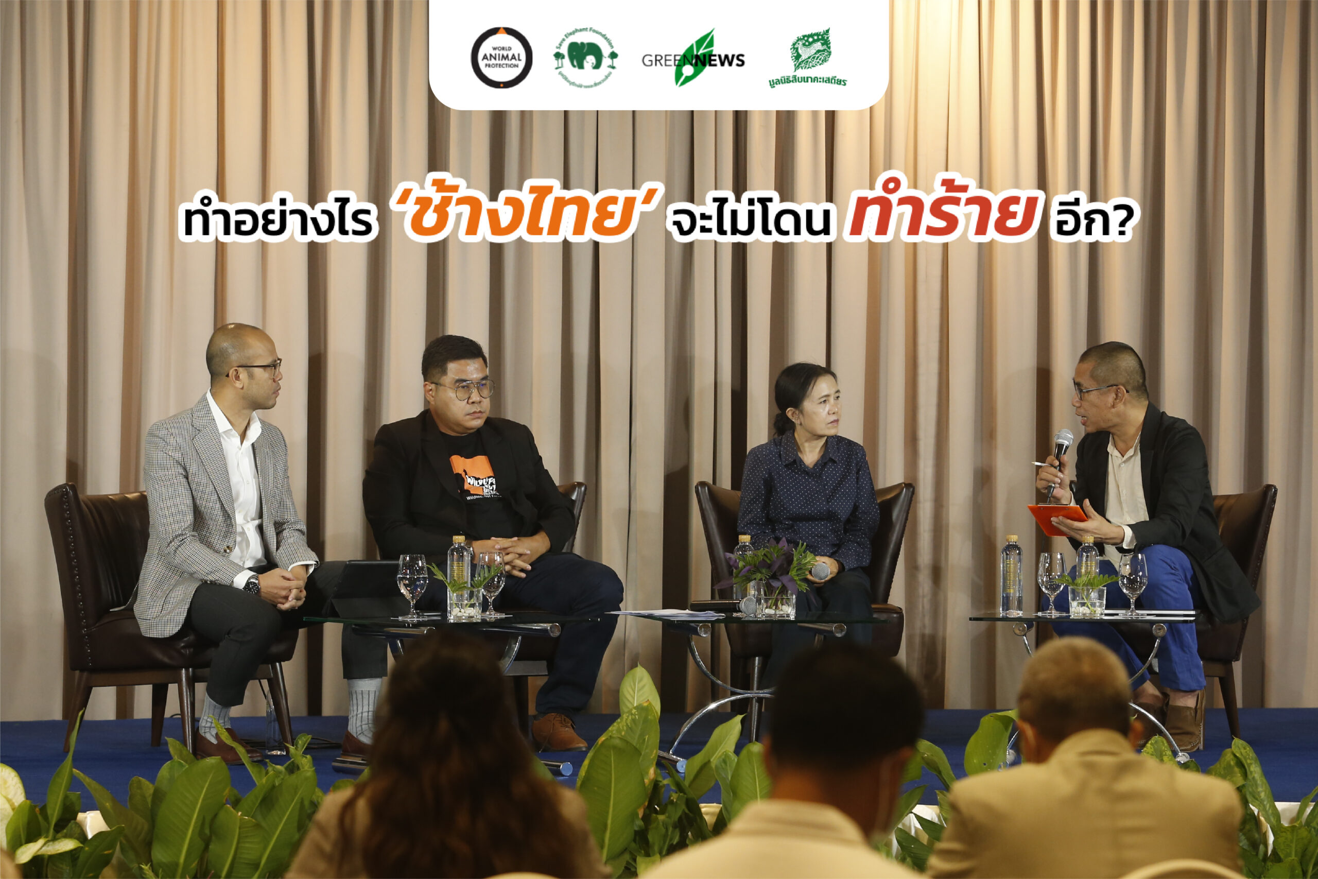 ทำอย่างไร ‘ช้างไทย’ จะไม่โดนทำร้ายอีก?