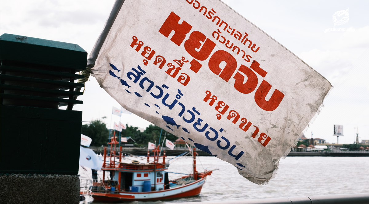 เครือข่ายประมงพื้นบ้าน แถลงความคืบหน้า กำหนดขนาดสัตว์น้ำวัยอ่อน