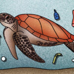 ‘วันเต่าทะเลโลก’ (World Sea Turtle Day)