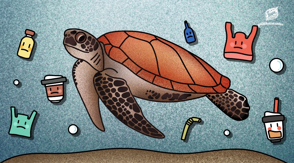 ‘วันเต่าทะเลโลก’ (World Sea Turtle Day)