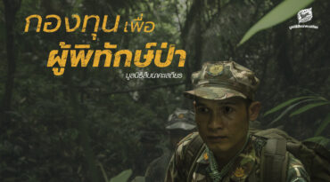 แผ่นพับ กองทุนเพื่อผู้พิทักษ์ป่า