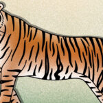 29 กรกฎาคมของทุกปี เป็นวันอนุรักษ์เสือโคร่งโลก (Global Tiger Day)